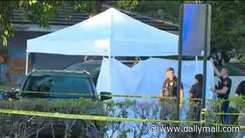 Tragedy after dad arrived to pick up toddler son from daycare in baking Florida... only to realize that he'd 'forgotten to take him out of car seat that morning'