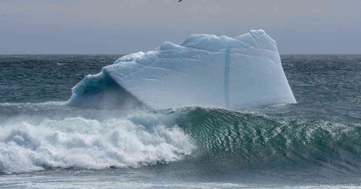 De oceanen zijn warmer dan ooit: ‘elke seconde neemt het de energie van vijf atoombommen in zich op’