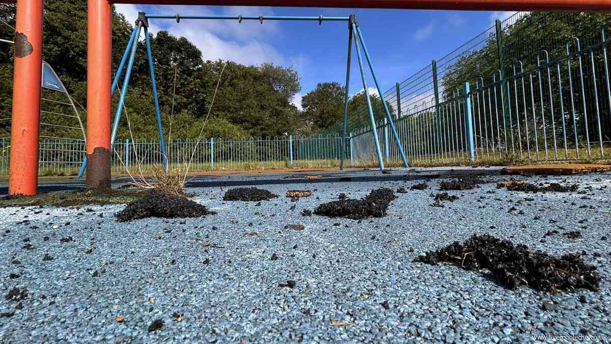 Fury as 'mindless' vandals force Sefton Park playground to close