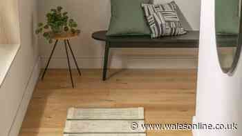 'I bought three' of the 'thick and fabulous' wool runner rugs now slashed in price