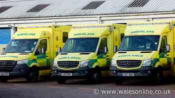 Thieves target hospitals in bid to steal medical gas