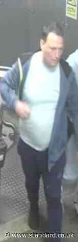 Police hunt after robbery and assault on London-bound train