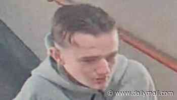 Girl, 17, 'raped at railway station after being separated from friends' - as police release CCTV of man