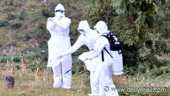 US issues travel advisory after cases of eye-bleeding disease are reported in region already battling Ebola outbreak