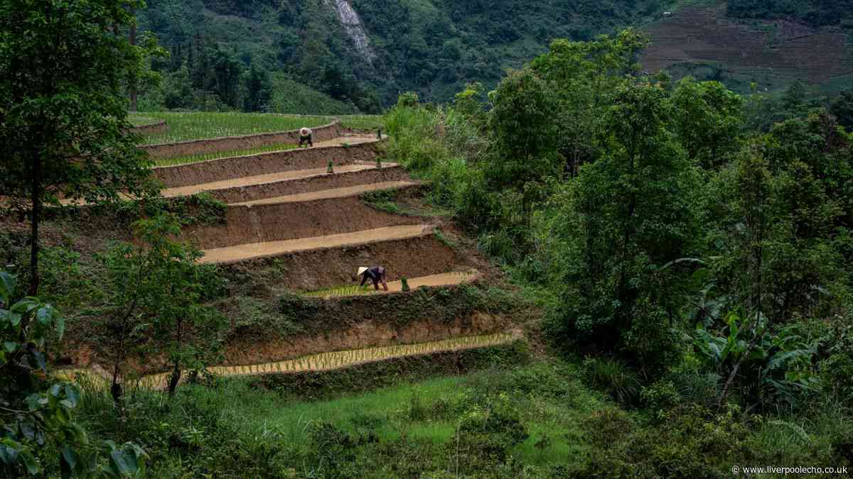 Thailand travel advice update after British travellers 'caught'