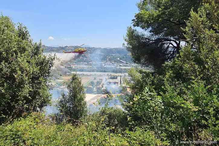 « À peine l’incendie se déclare, on lui envoie toutes nos forces, on le matraque » : comment ce feu de broussailles menaçant des habitations a-t-il été arrêté près de Nice ?
