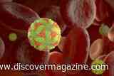 Rare Powassan Virus Can Lead to Serious Brain or Spinal Cord Inflammation, and Cases are Rising in the U.S.