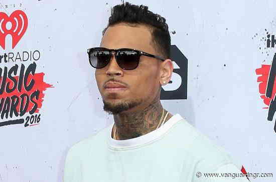 Singer Chris Brown ordered to pay housekeeper $13m after dog attack