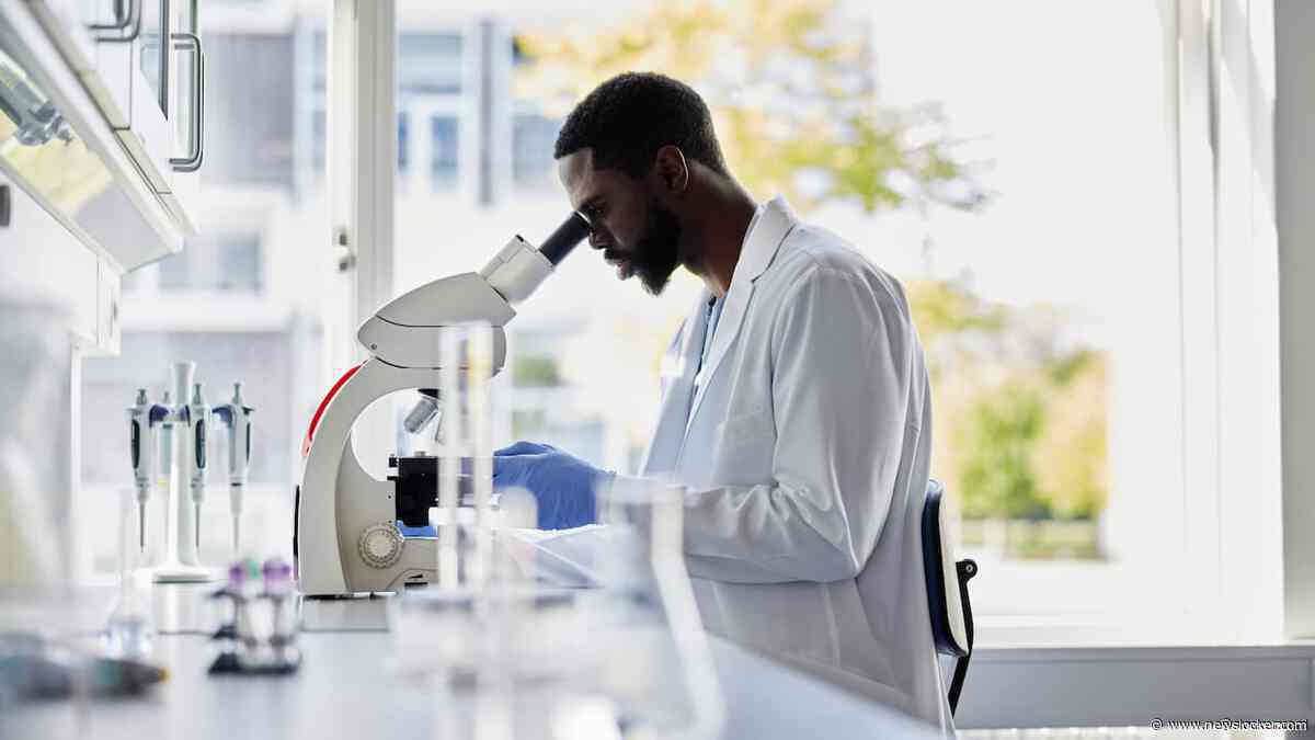 Aantal nepbronnen in Nederlandse onderzoeken neemt toe sinds komst ChatGPT