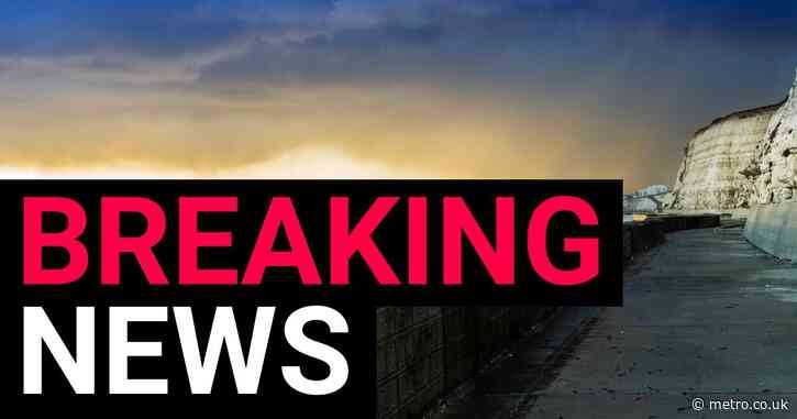 Driver killed after white van plummets off cliff at Sussex beauty spot