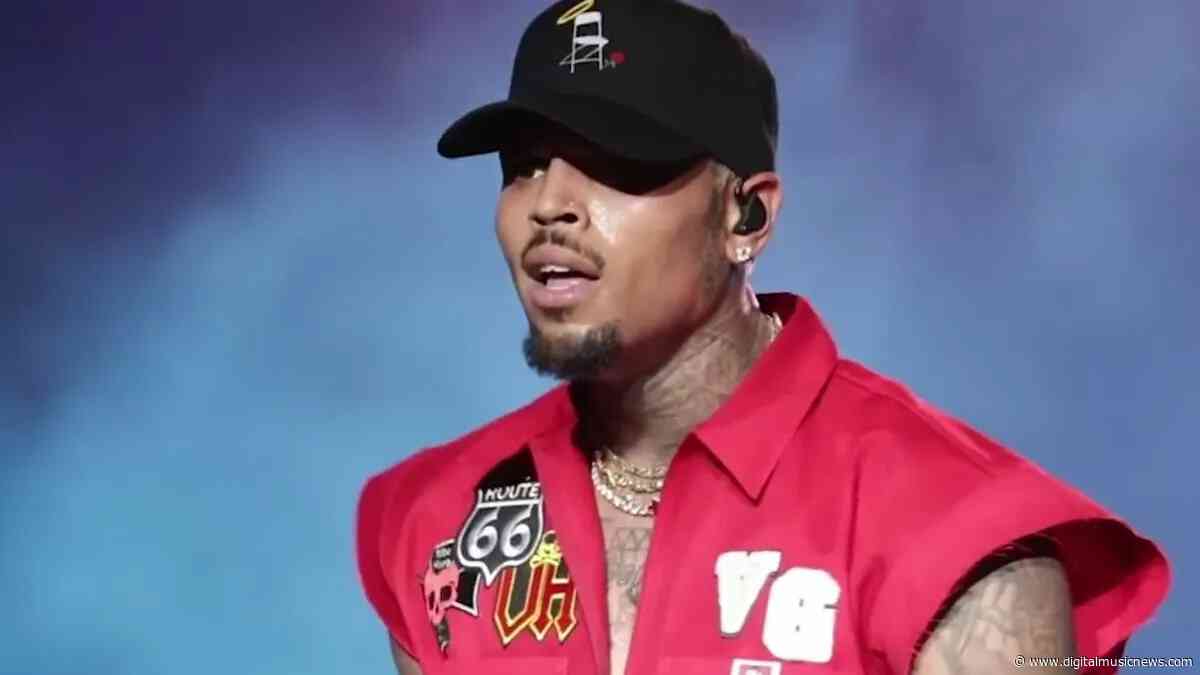 Chris Brown Slapped with $14M Verdict in Dog-Mauling Attack Case