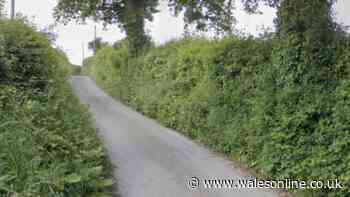 Police make attempted murder arrest after A44 crash