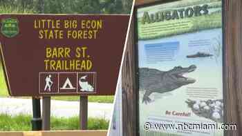 ‘Both her arms are off': 911 call gives new details in fatal Florida alligator attack