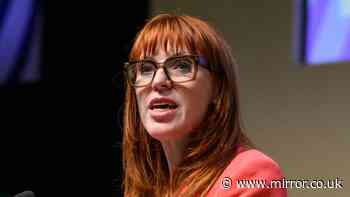 Angela Rayner warns Labour Nigel Farage won't be defeated with 'caution'