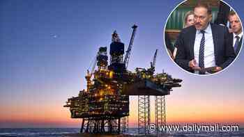 Urgent 'reset' of oil and gas policy needed to keep lights on and maintain Britain's national security, MPs have been warned