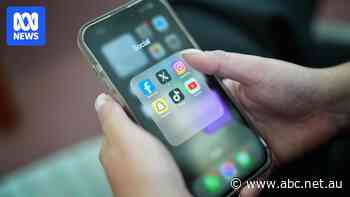 Extremists using 'codes' to evade detection online, royal commission hears