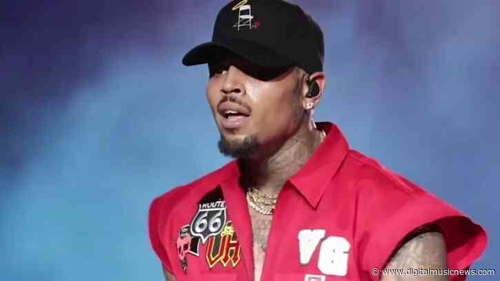 Chris Brown Slapped with $14 Million Verdict In Tragic Dog-Mauling Case