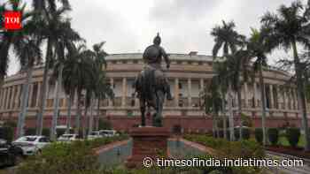 Panel to adopt report on bill to sack PM, CMs on July 17