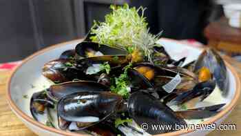 Magical mussels at Alsace French Bistro in Tierra Verde