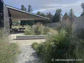 The wilder West Coast garden