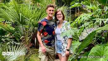 Couple turn mid-terrace garden into tropical jungle with poisonous plants