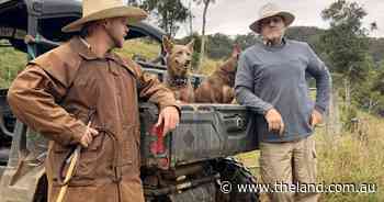 Not $7 million: more like half that, say Northern Rivers farmers fighting cattle tick