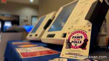 Pet election aims to demystify voting, teach new voters how the process works