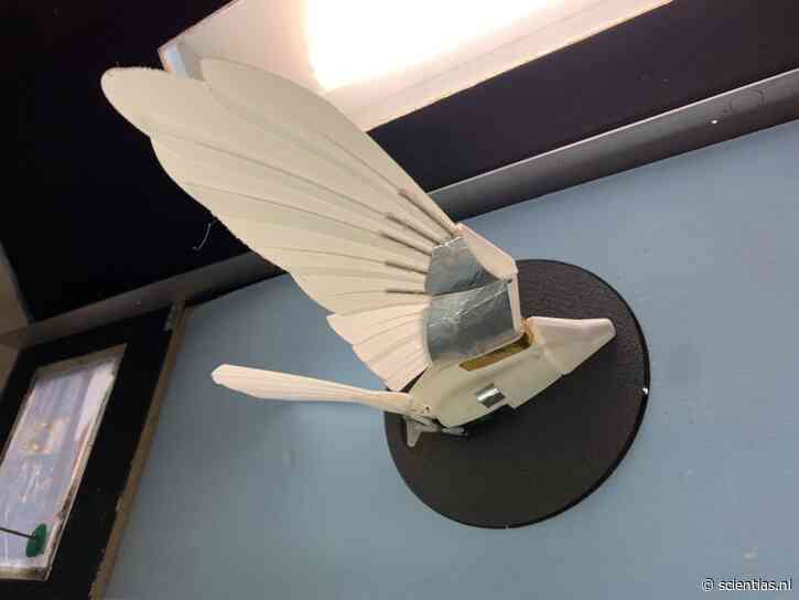 Deze robotvogel laat zien hoe drones beter tegen turbulentie kunnen