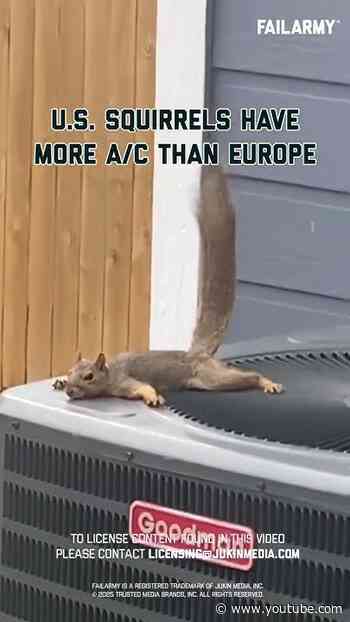 Squirrels just wanna have central air #heatwave #europe #worldcup #america #extremeweather