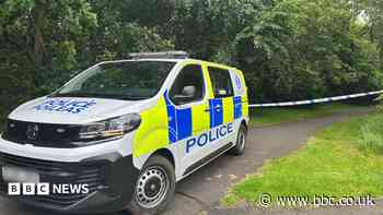 Detectives issue description of park rape suspect