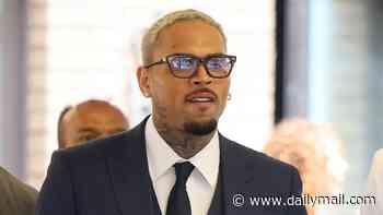 Chris Brown owes housekeeper massive eight-figure sum over disfigurement in dog-mauling attack