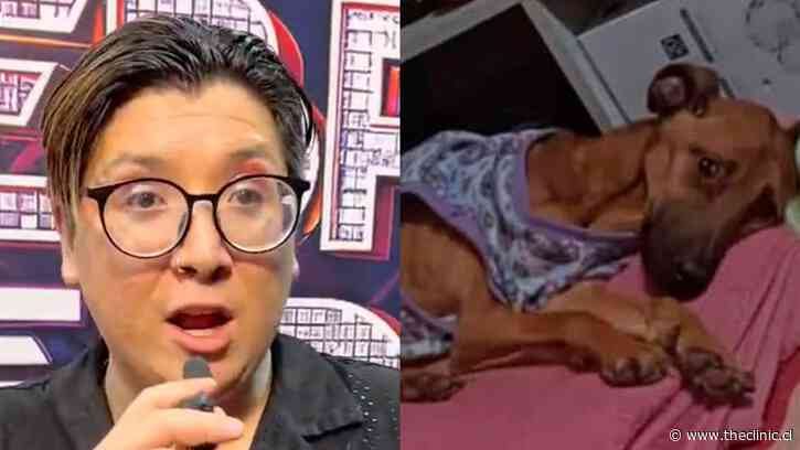 Fundación se querella contra influencer Manu TV por maltrato animal tras denuncia que reveló que mantenía a su perro con desnutrición severa
