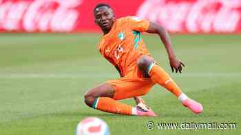Ivory Coast winger Toure heading for Toon, Brighton agree £46million deal for Tottenham defender... and Chelsea complete move for Marco Palestra: WINDOW WATCH