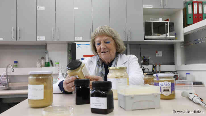 Académica chilena estudia propiedades antibacterianas de las mieles del Desierto de Atacama que podrían reemplazar a los antibióticos