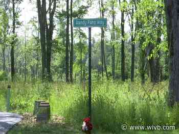 Cradle Beach unveils new musical and sensory trail