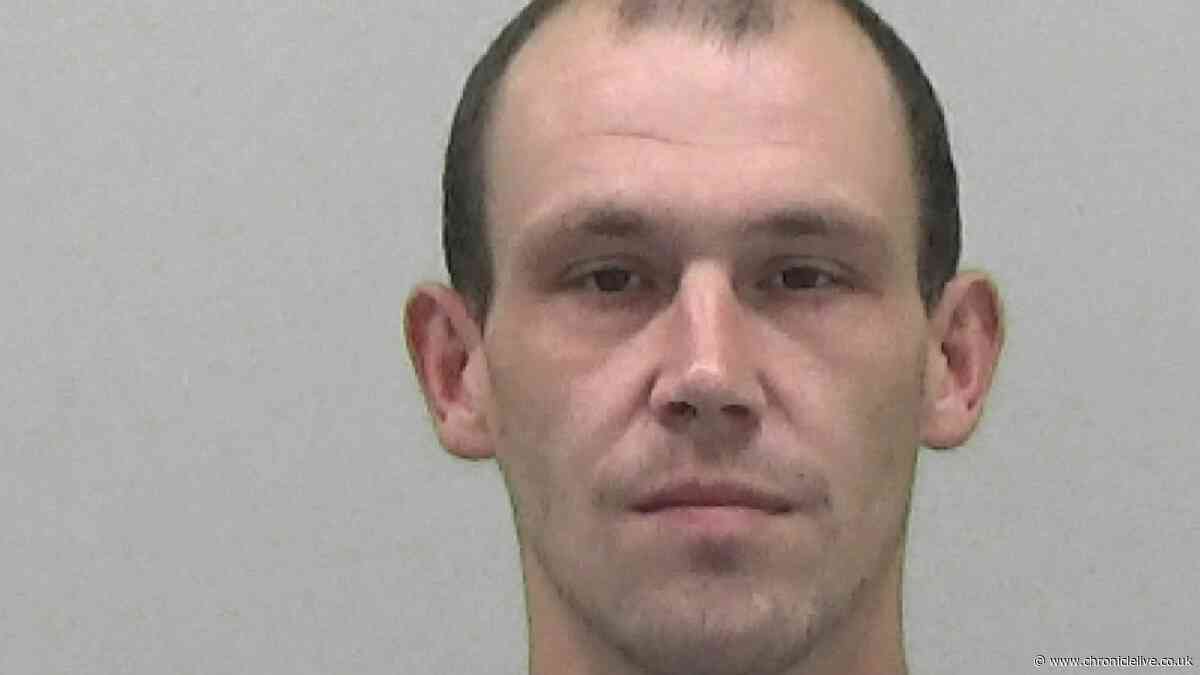 Newcastle thug repeatedly stamped on neighbour's head until he lost consciousness in street attack