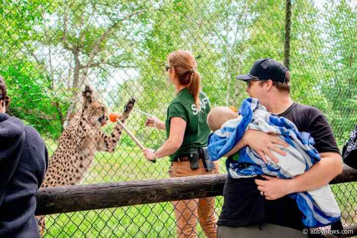 Three-year-old battling cancer makes memories at Aldergrove zoo