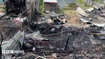 Twenty chickens die in allotment arson attack