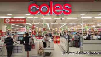 Coles set to expand its empire and buy Australia's biggest pet care company in huge $4billion deal