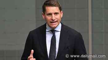 Insider stirs pot about Andrew Hastie's political future as leadership hopeful's 'Toadfish from Neighbours' attack on Pauline Hanson sparks chatter