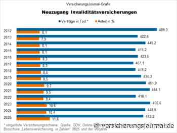 So lief das Geschäft 2025 mit Invaliditätsversicherungen