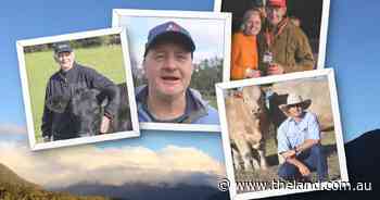Is the 'perfect storm' in NZ's stud cattle market heading for Australia?