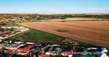Cropping land with approval for 79 homes at Loxton quickly finds a buyer