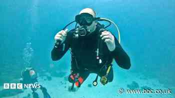 Divers to swim with sharks to solve bay mystery