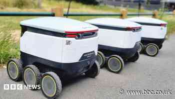 'Delivery robots are in the way - you're the one who has to move'