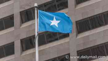 Capital of US state forced to make embarrassing U-turn after 'raising' the Somali flag above City Hall