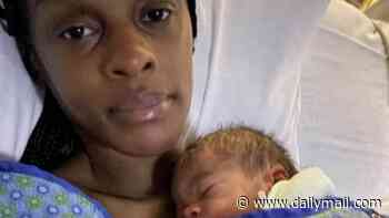 Pit Bull attacks heavily pregnant woman in crime-ridden Tacoma forcing doctors to induce birth