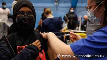 How and where 17 and 18 year-olds in Wales can get MenB jab this summer