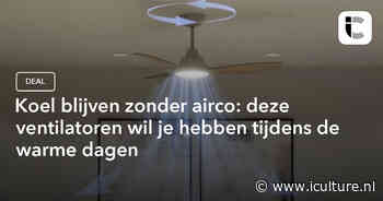 Koel blijven zonder airco: deze ventilatoren wil je hebben tijdens de warme dagen