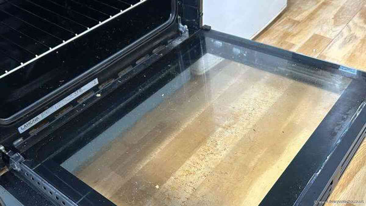 I cleaned my oven, shower and toilet with £1.69 item that made everything spotless